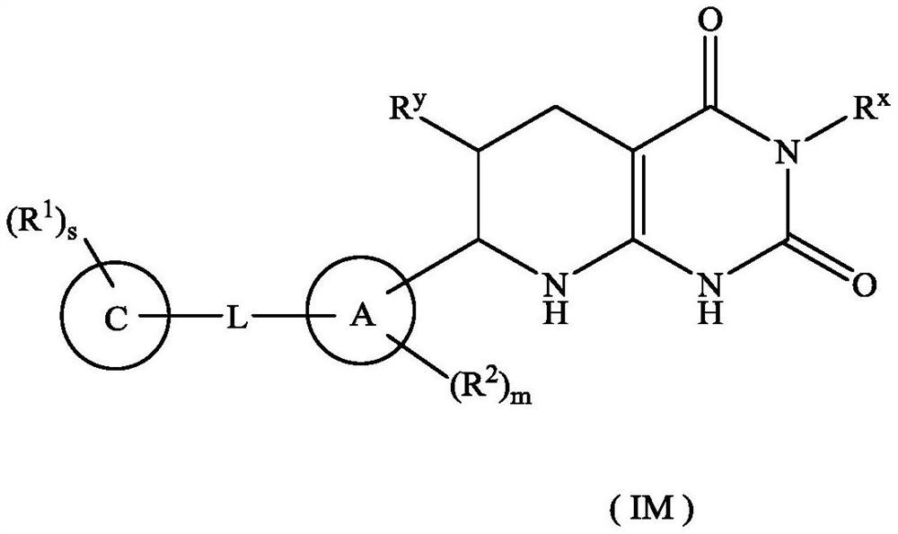 Tetrahydropyridopyrimidinedione derivative, preparation method thereof and application of tetrahydropyridopyrimidinedione derivative in medicine