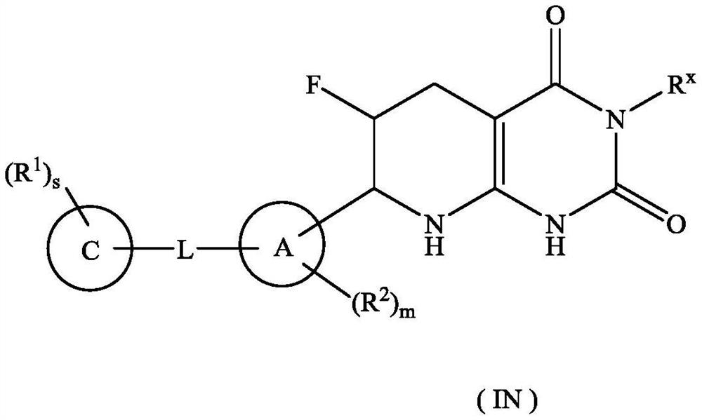 Tetrahydropyridopyrimidinedione derivative, preparation method thereof and application of tetrahydropyridopyrimidinedione derivative in medicine