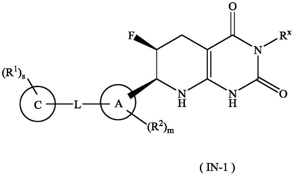 Tetrahydropyridopyrimidinedione derivative, preparation method thereof and application of tetrahydropyridopyrimidinedione derivative in medicine