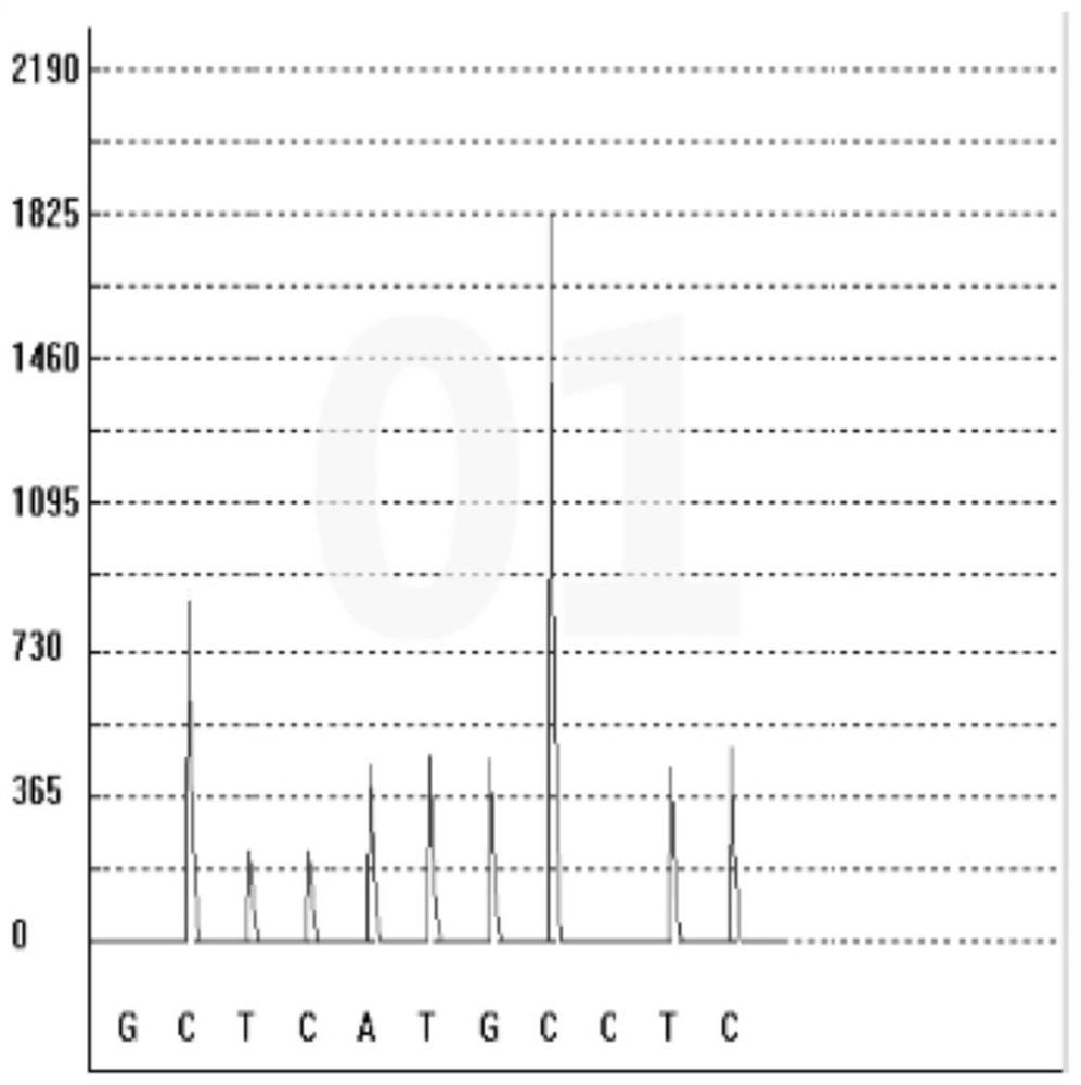 Gene polymorphism detection kit for predicting efficacy of tumor necrosis factor alpha inhibitor as well as detection method and application of gene polymorphism detection kit