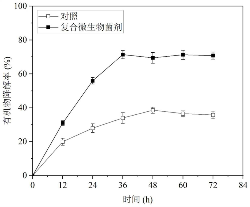 Composite microbial agent and application thereof in biological reduction of kitchen waste