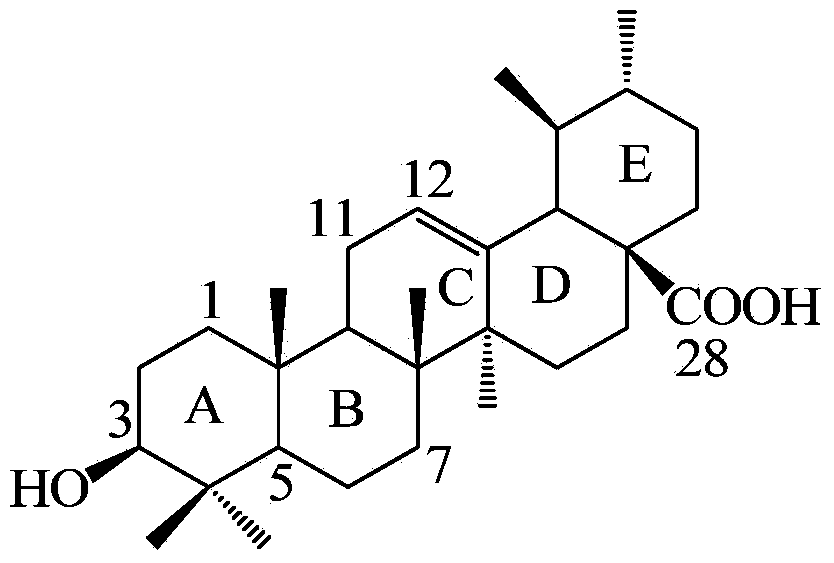 Ursolic acid derivative and preparation method thereof