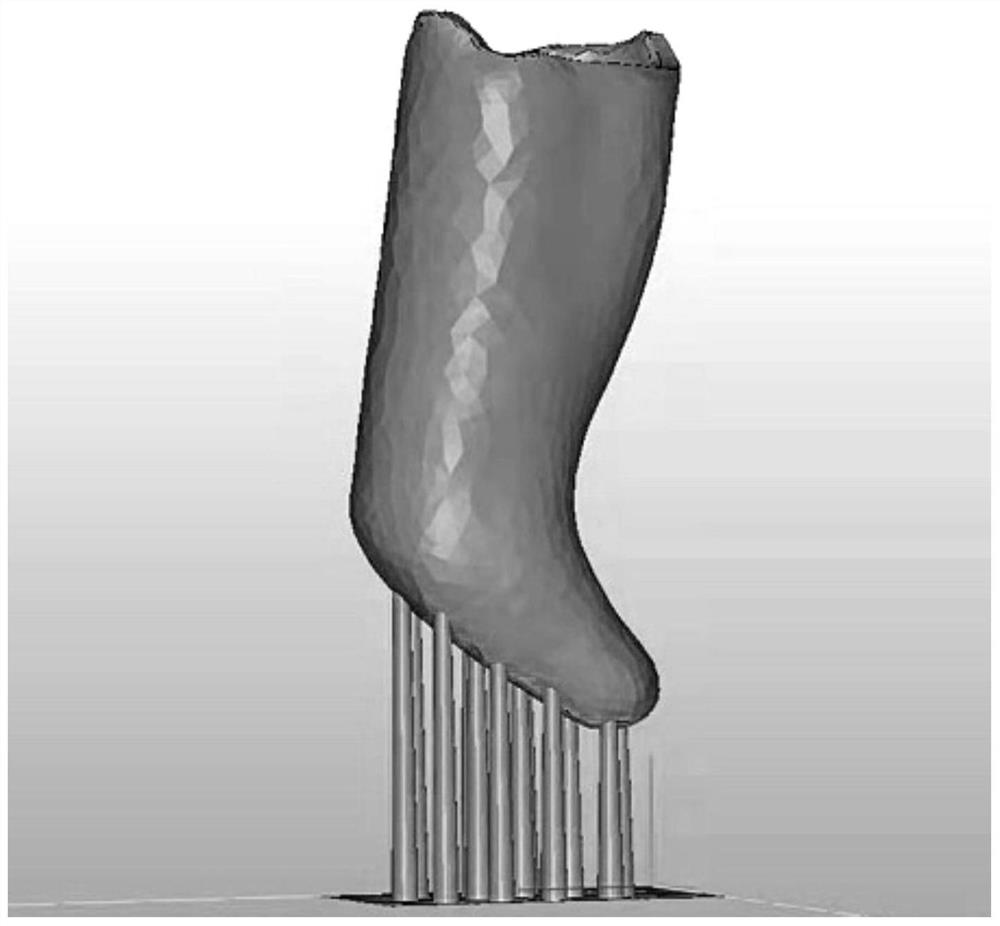 Method for constructing temporomandibular joint osteoarthritis animal model by applying digital technology