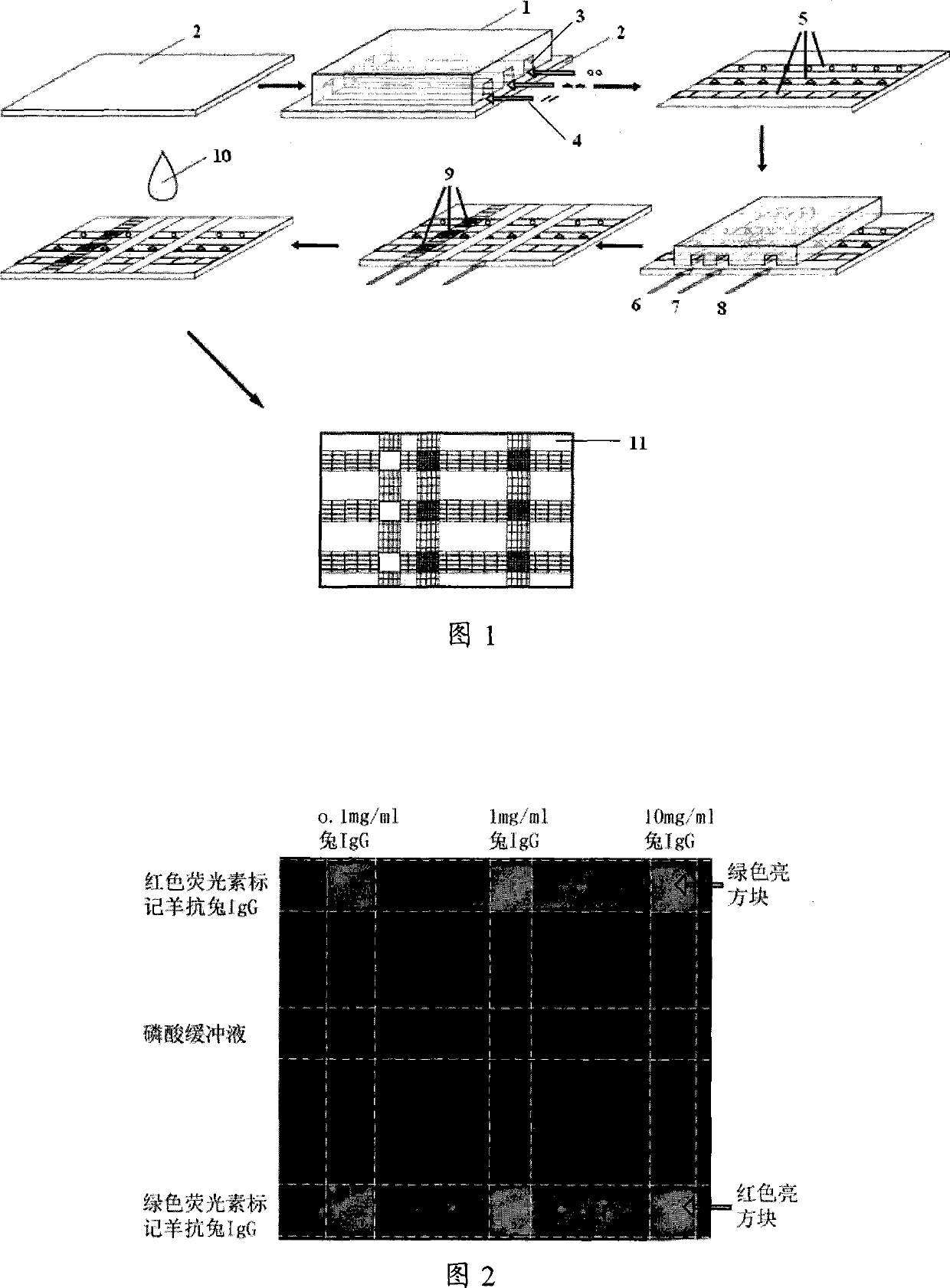 Method and device for biological sample detection