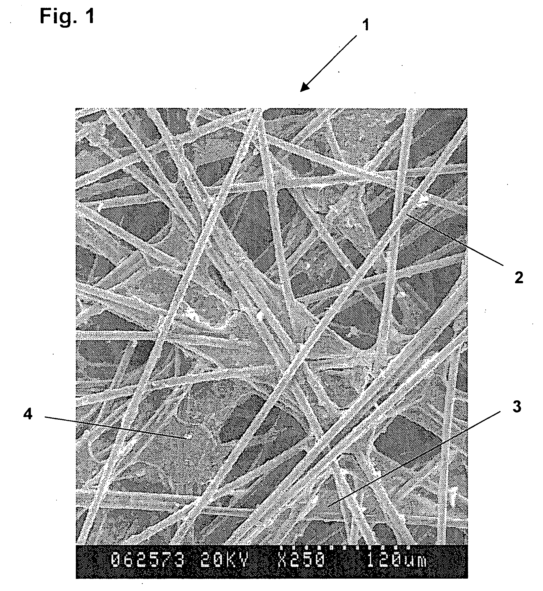Porous carbon base material, method for preparation thereof, gas-diffusing material film-electrode jointed article, and fuel cell