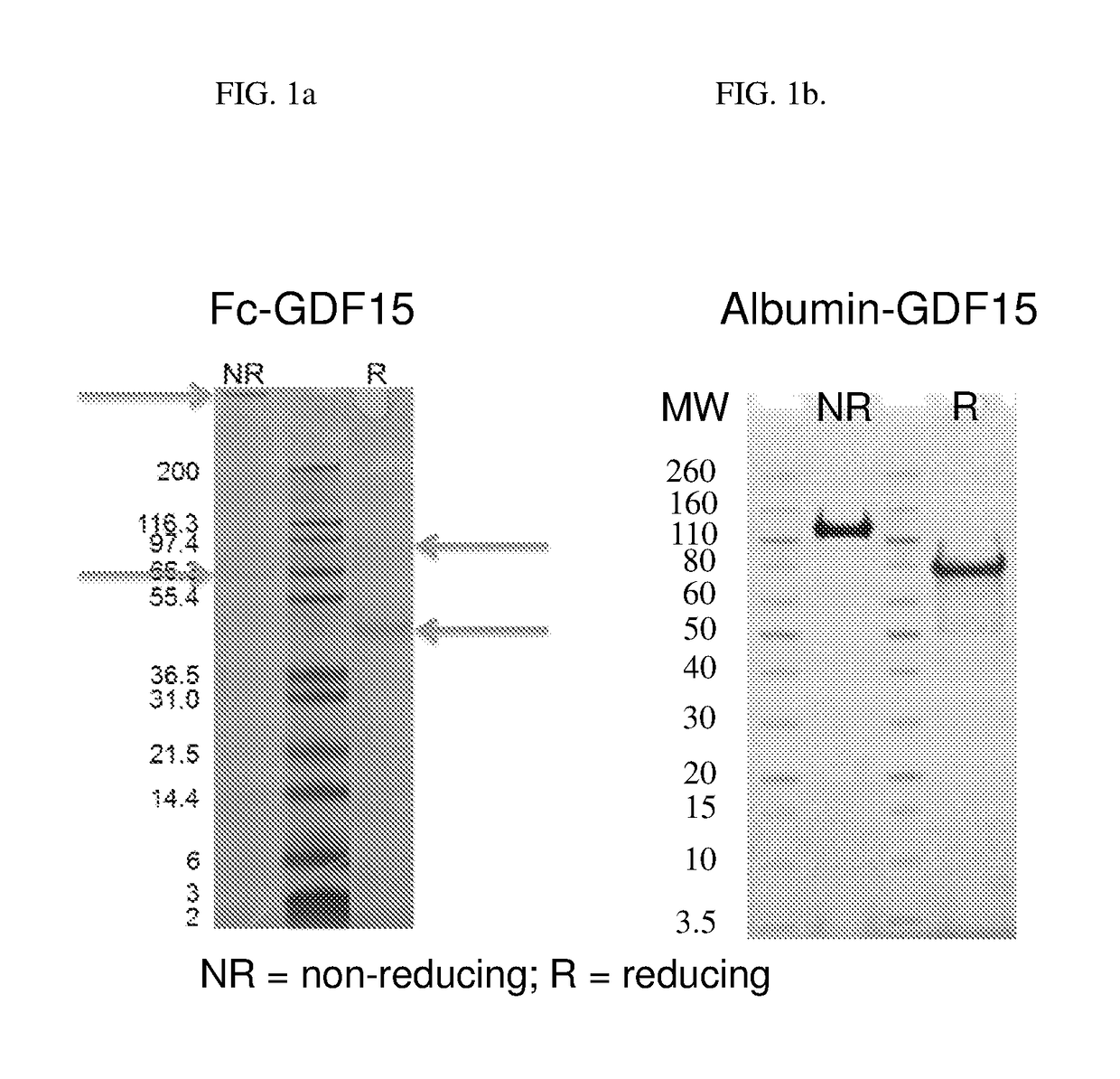 Hsa-gdf-15 fusion polypeptide and use thereof