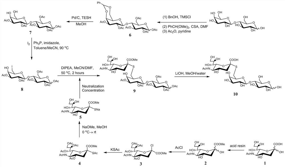 A kind of sugar chain polymer modified microsphere material and preparation method and application thereof