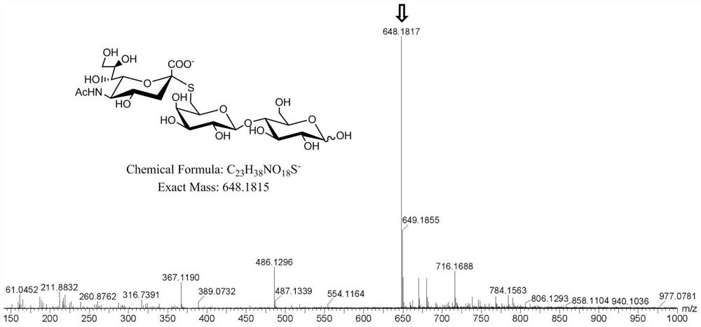 A kind of sugar chain polymer modified microsphere material and preparation method and application thereof