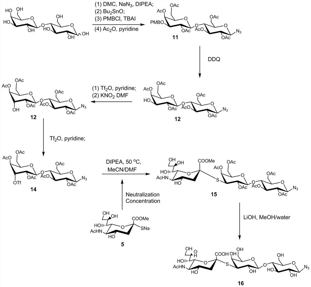 A kind of sugar chain polymer modified microsphere material and preparation method and application thereof