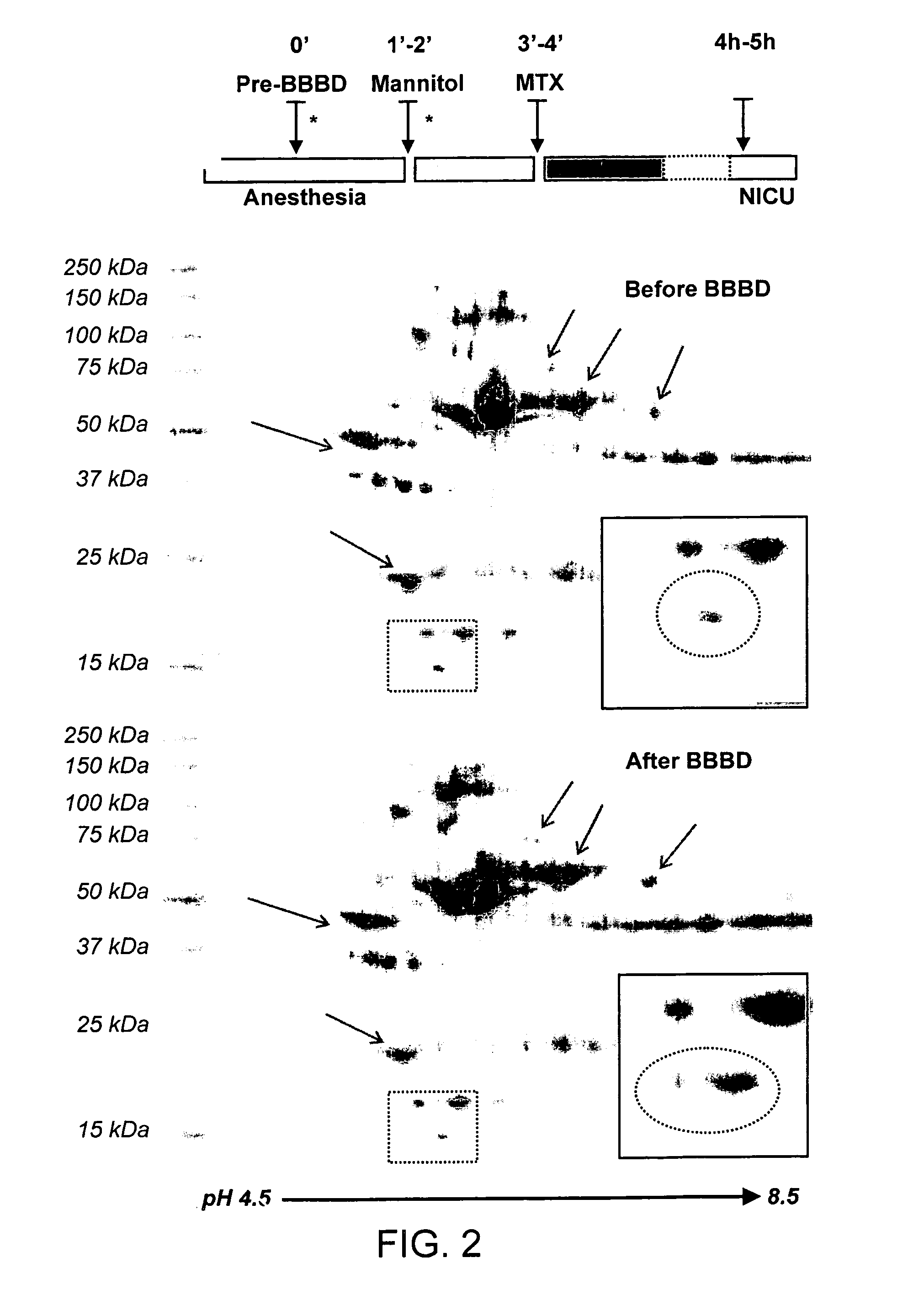 Markers of blood barrier disruption and methods of using same