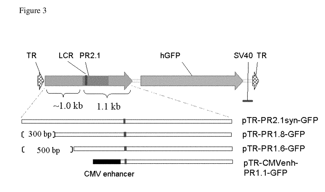 Promoters, expression cassettes, vectors, kits, and methods for the treatment of achromatopsia and other diseases