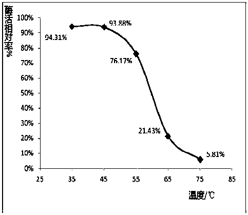 Enzyme stabilizer, compound pesticide hydrolase solution and preparation method thereof, and fruit and vegetable detergent and preparation method thereof