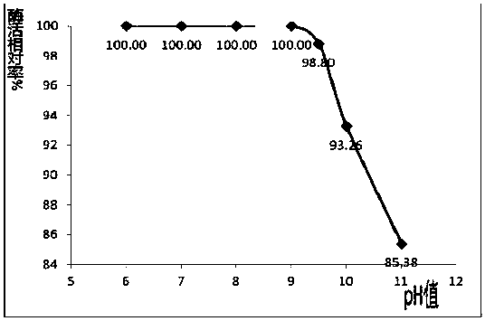 Enzyme stabilizer, compound pesticide hydrolase solution and preparation method thereof, and fruit and vegetable detergent and preparation method thereof