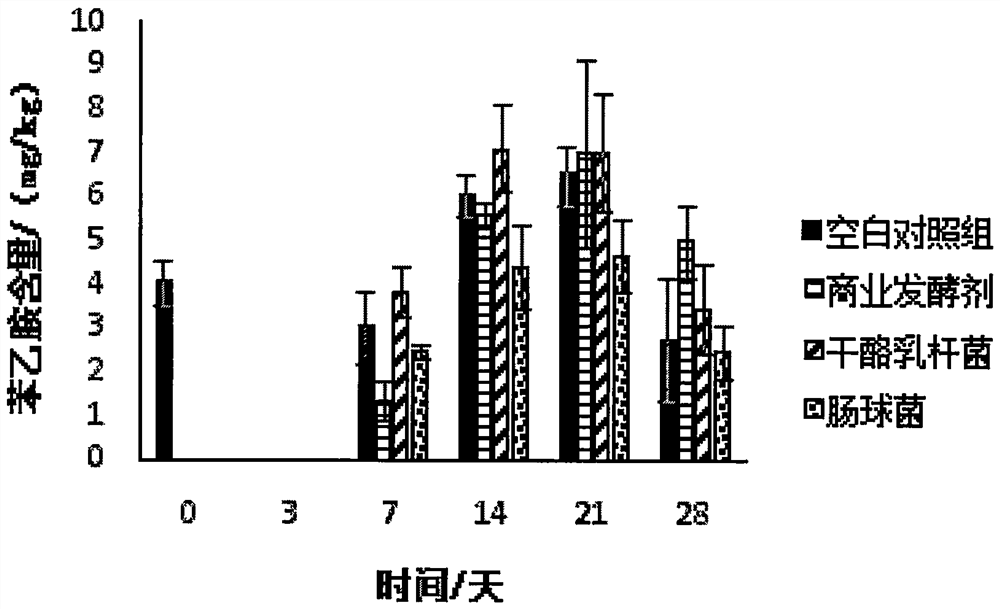 Application of Lactobacillus casei in preparing sausage, method for preparing sausage and sausage