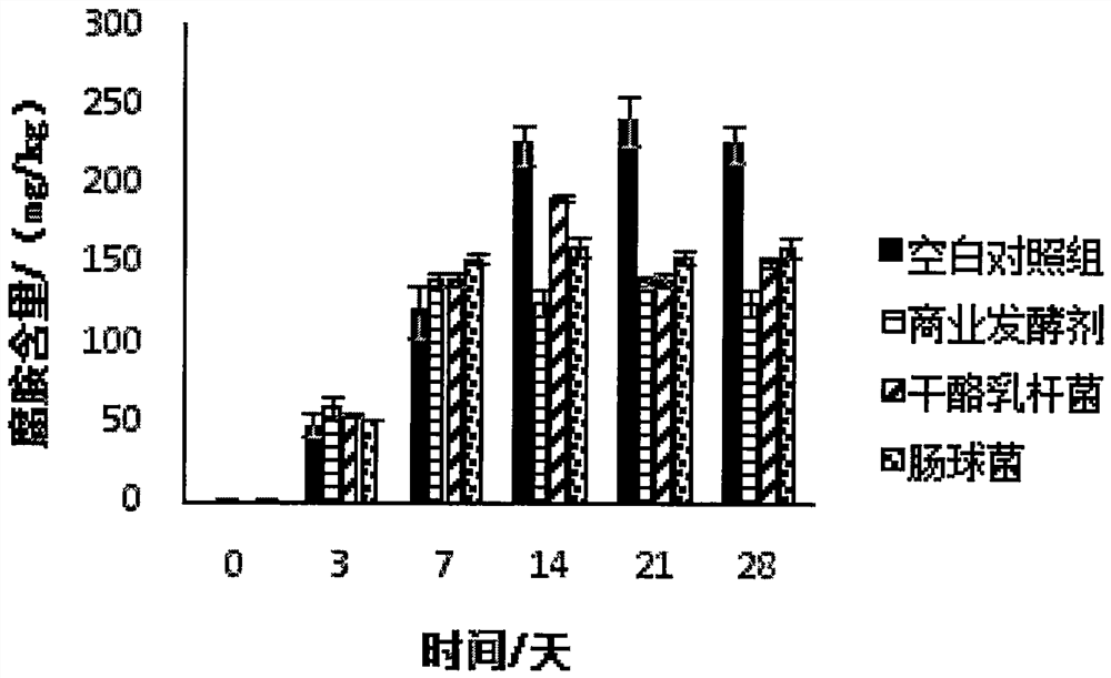 Application of Lactobacillus casei in preparing sausage, method for preparing sausage and sausage