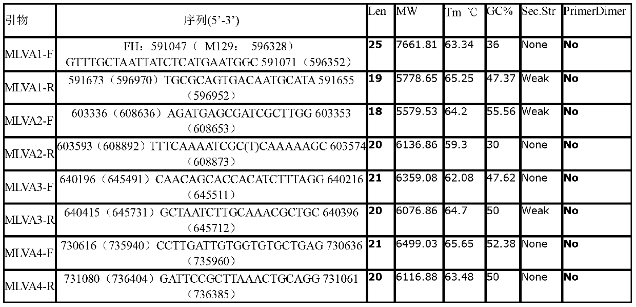 Nucleotide sequence for MLVA (multiple-locus variable number tandem repeat analysis) typing detection of mycoplasma pneumoniae