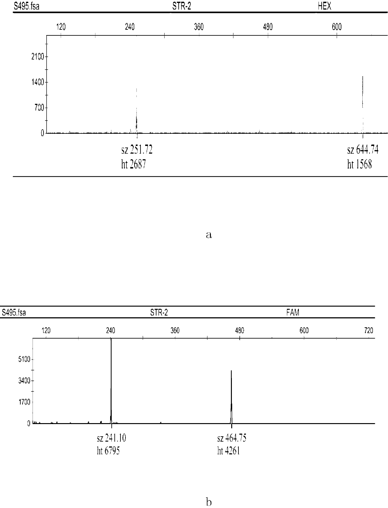 Nucleotide sequence for MLVA (multiple-locus variable number tandem repeat analysis) typing detection of mycoplasma pneumoniae