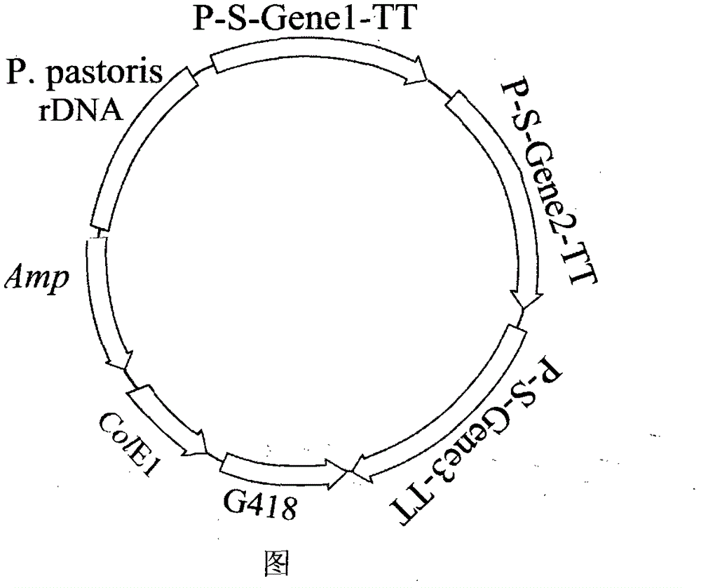Method for producing recombinant mixed L-arabinose isomerase