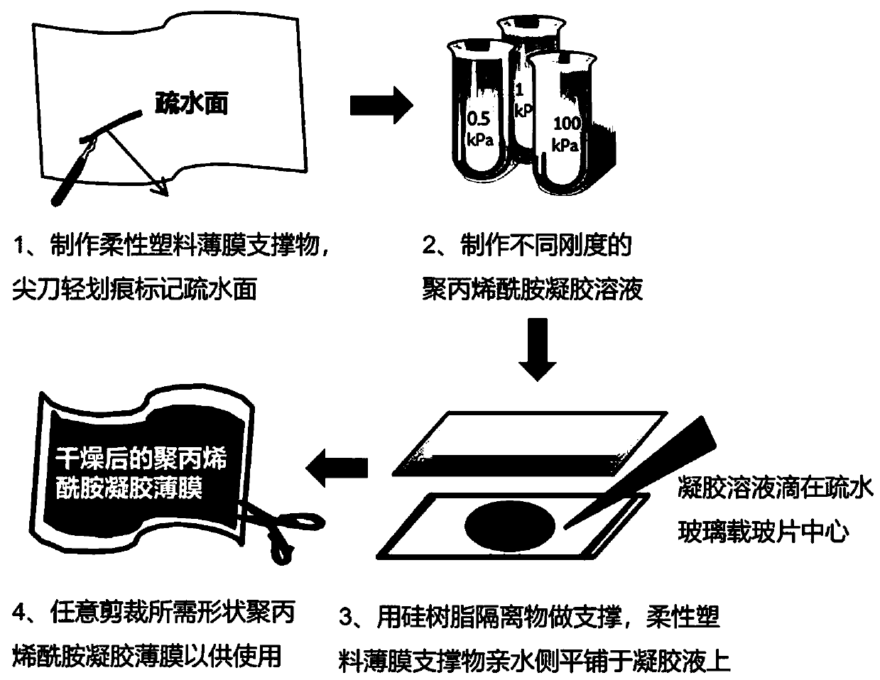 Large-batch manufacturing method and application of polyacrylamide gel films of in-vitro cell culture substrate materials with different hardness