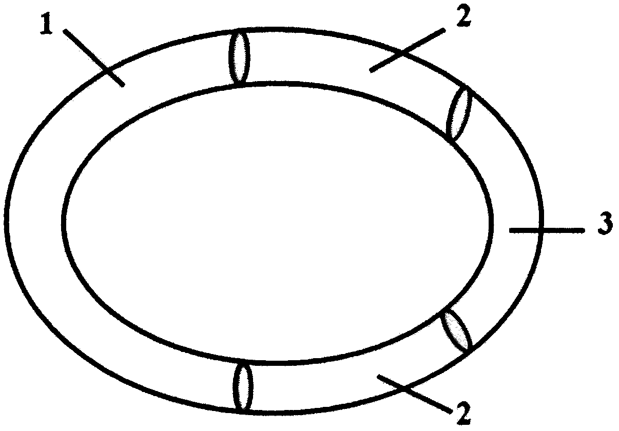 Preparation method and applications of compound levonorgestrel pessary