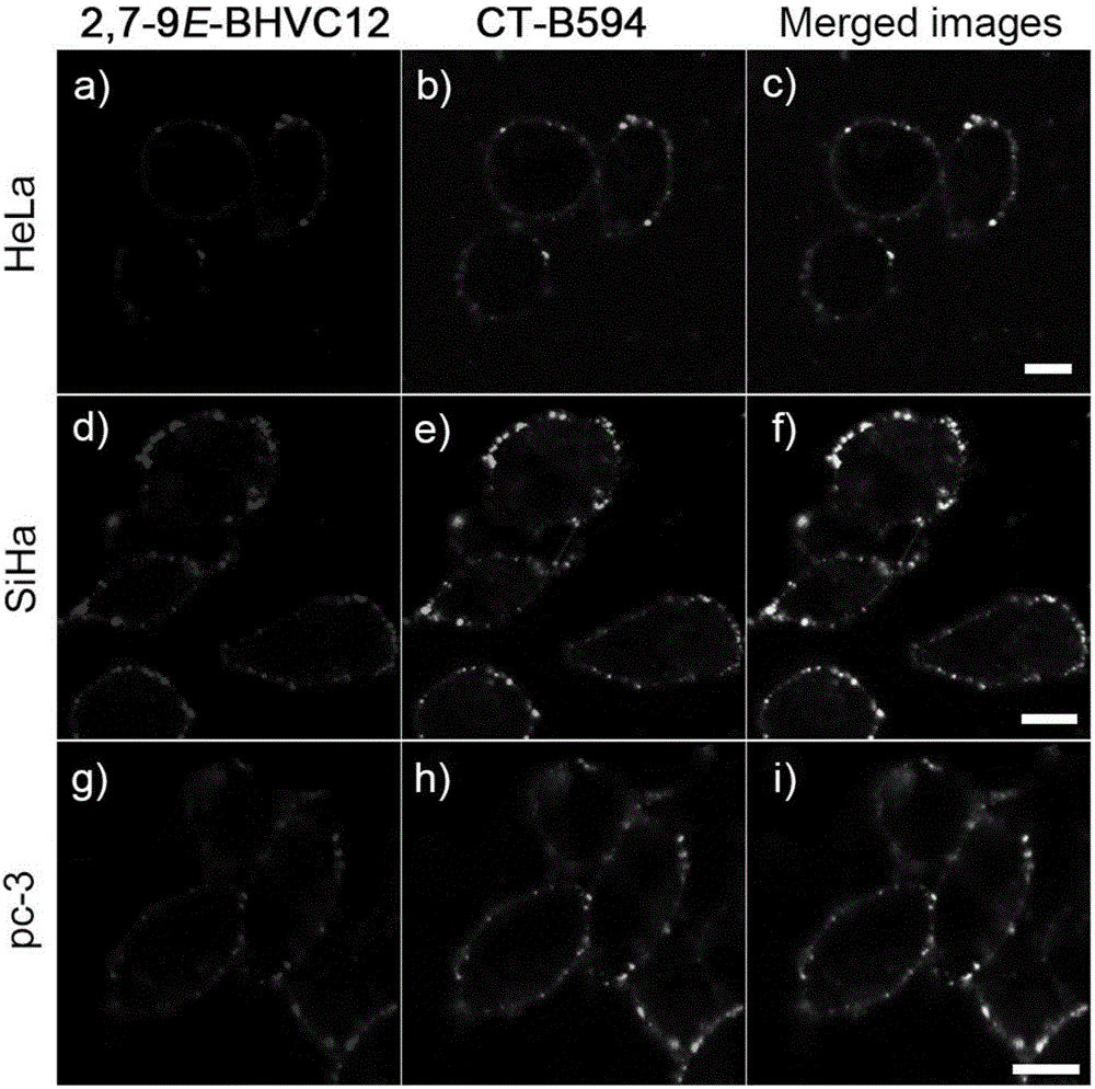 Probe for clearly distinguishing cell membrane-lipid raft microdomain from non-lipid-raft microdomain by using two fluorescence colors and simultaneously imaging microdomains and application of probe