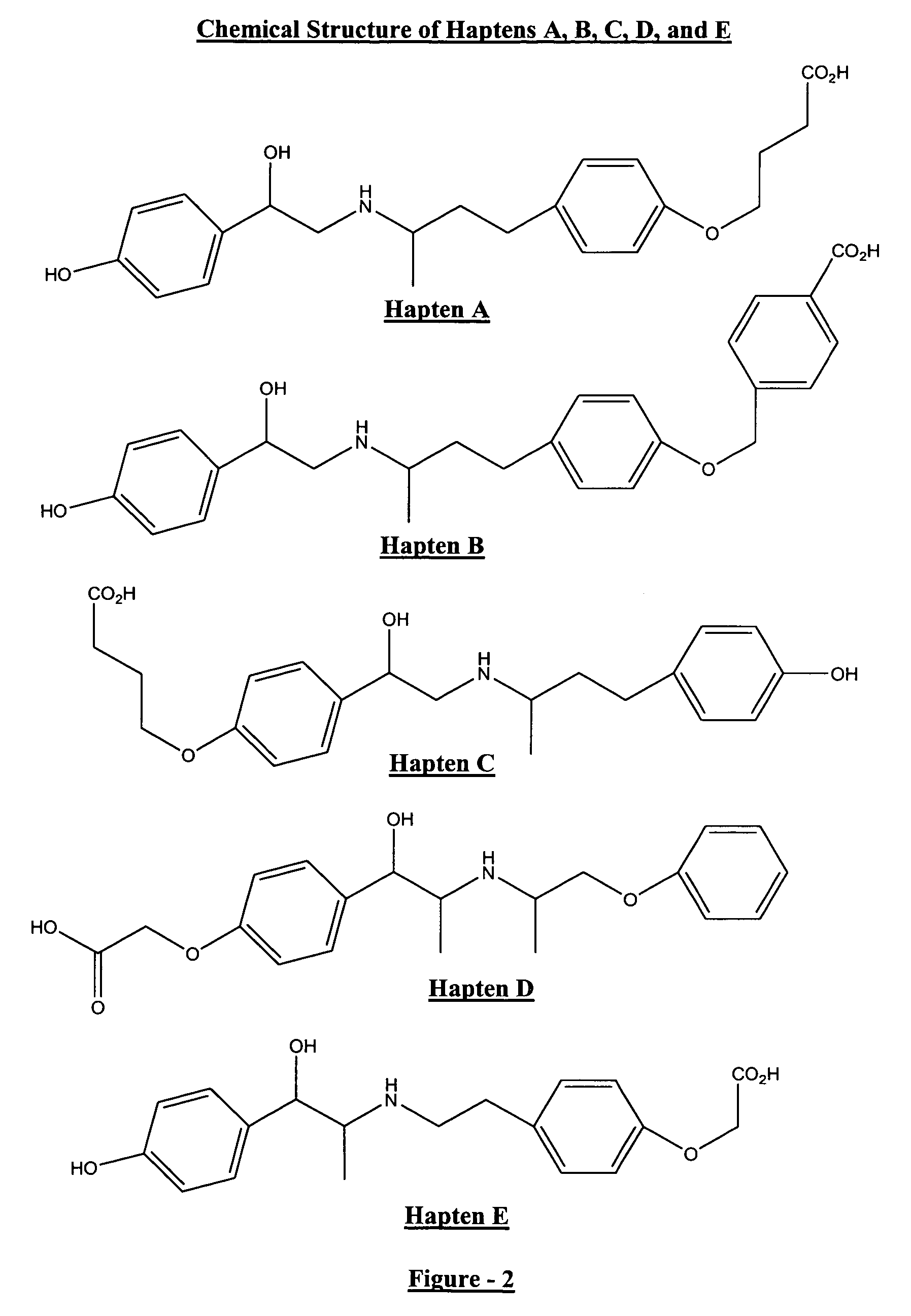 Phenethanolamine-derived haptens, immunogens, antibodies and conjugates