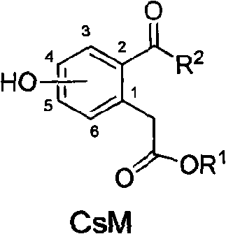 Monohydroxy-2-acyl phenylacetate, and preparation and use thereof