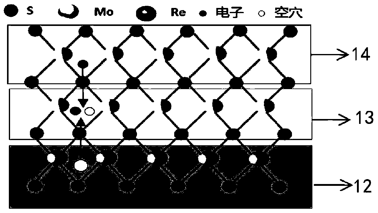 Flexible display substrate, preparation method thereof, and display device