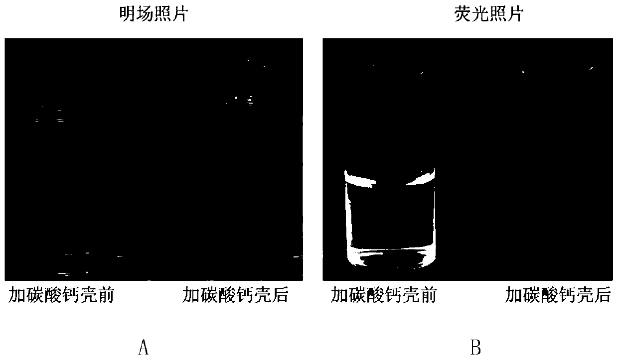 Preparation method of calcium carbonate coated DNA-fluorescent dye composite nano gel dual anti-counterfeiting coating