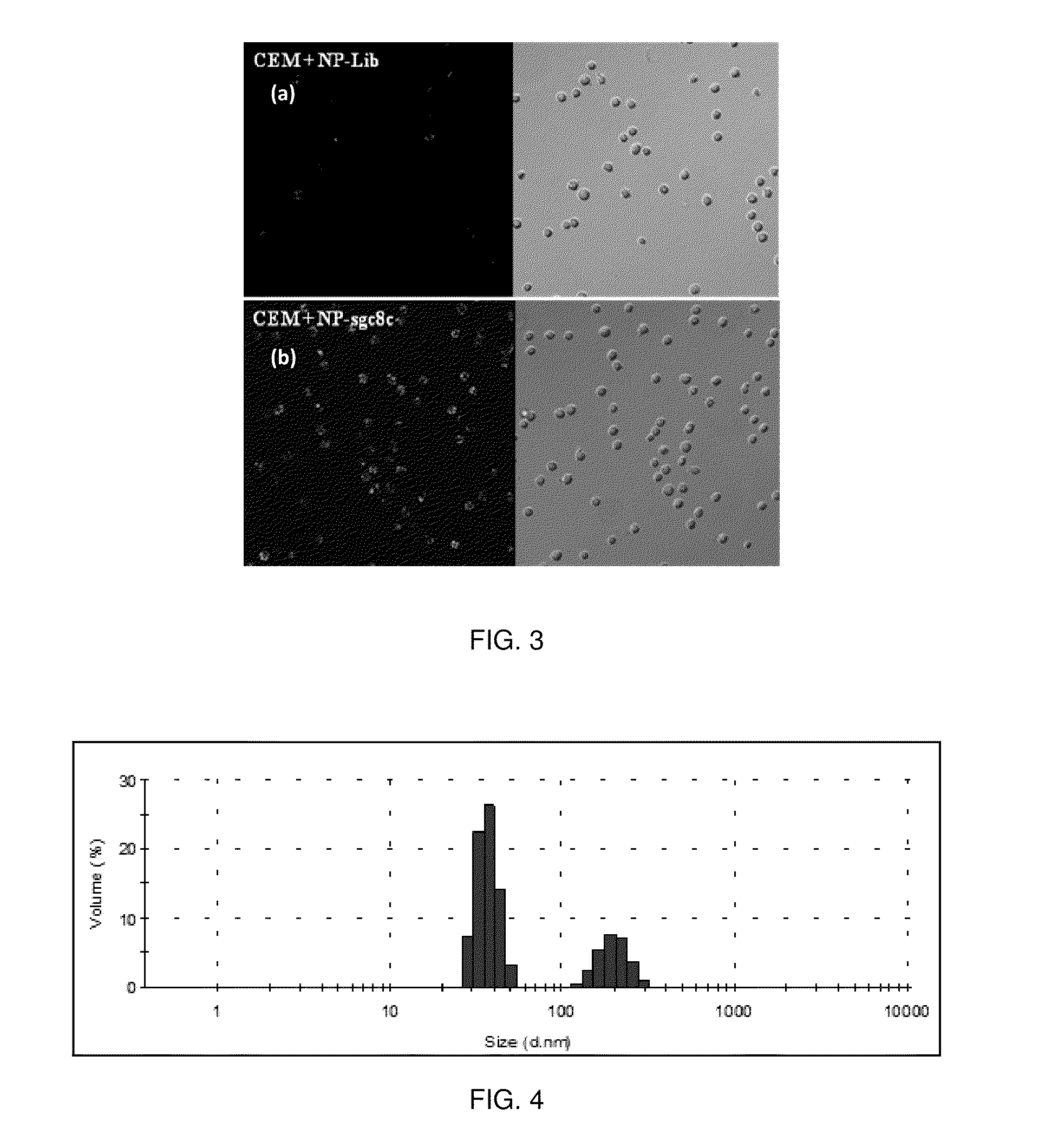 Chitosan-based nanoparticles and methods for making and using the same