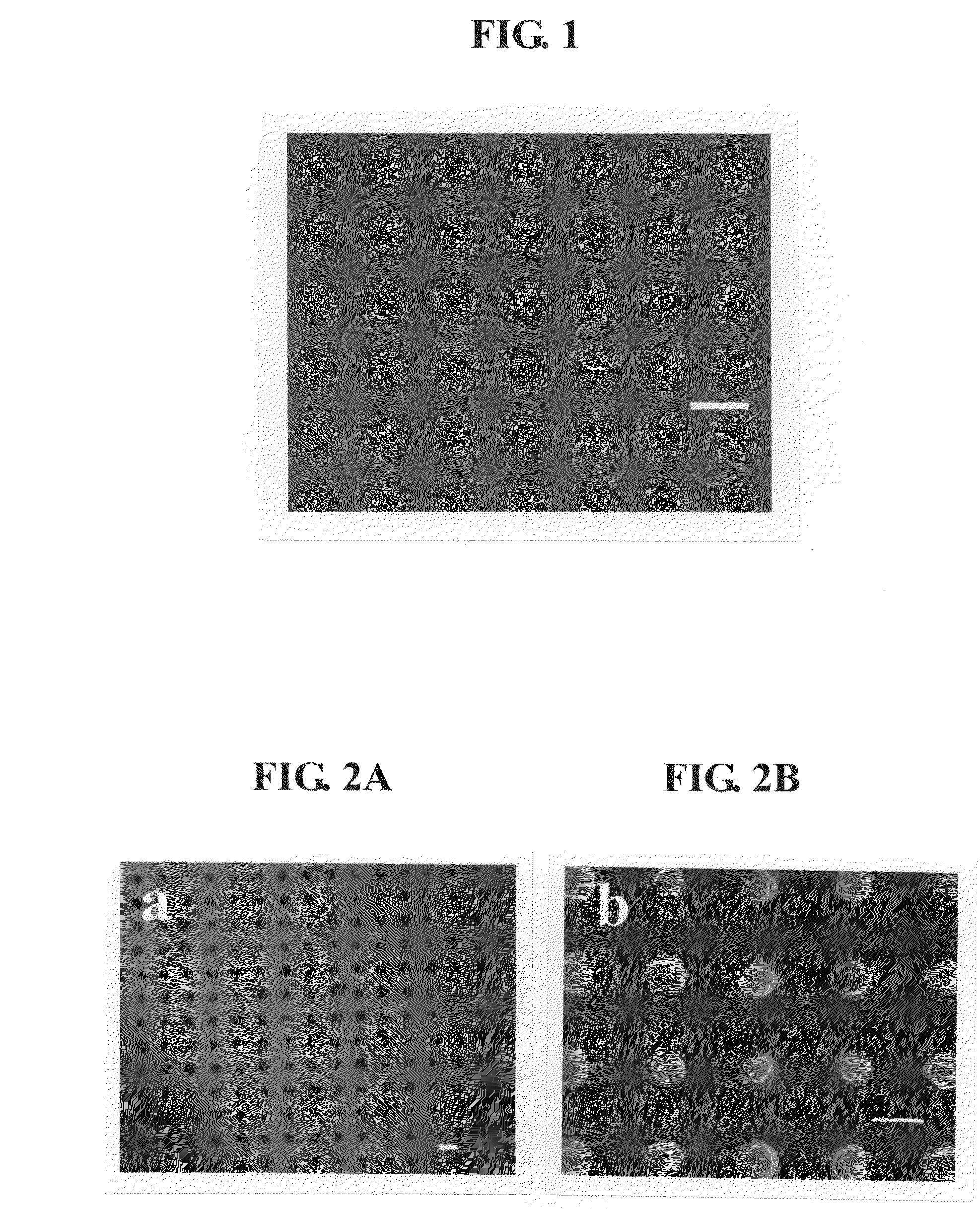 Cultured cell construction containing spheroids of mesenchymal stem cells and utilization thereof