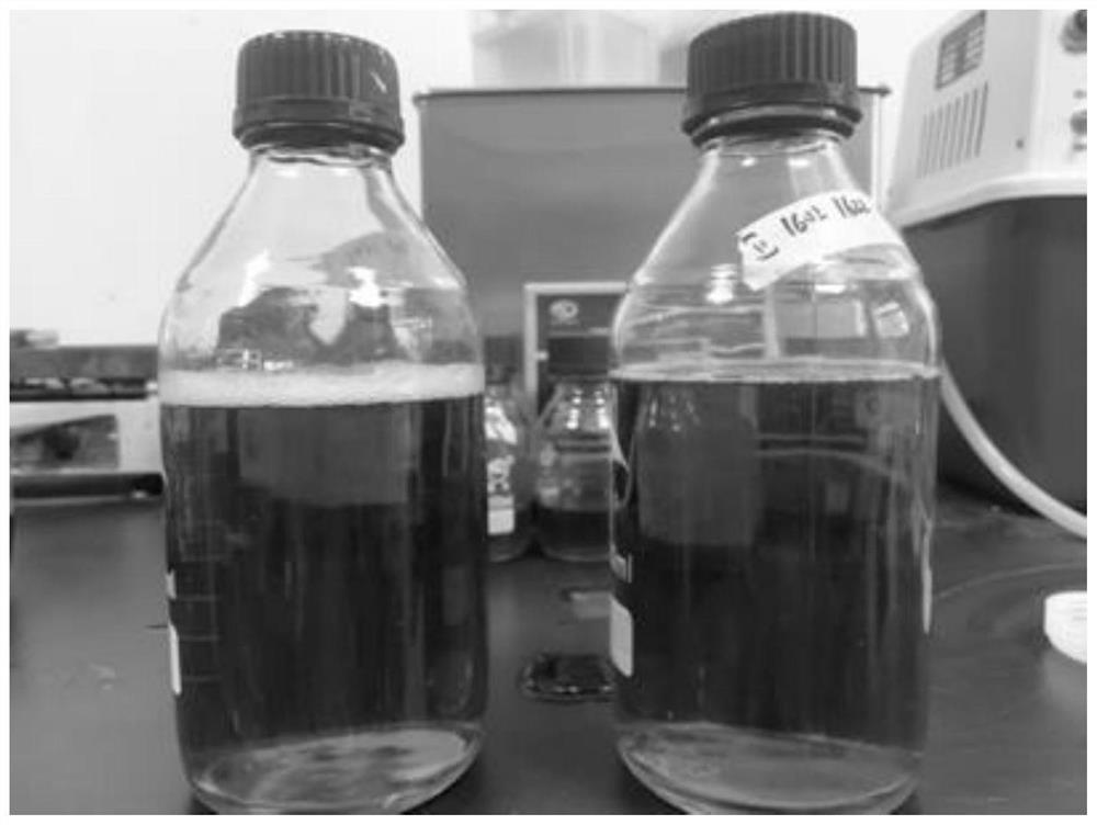 A compound traditional Chinese medicine preparation, preparation method and application for preventing and treating prophylactic algal mastitis