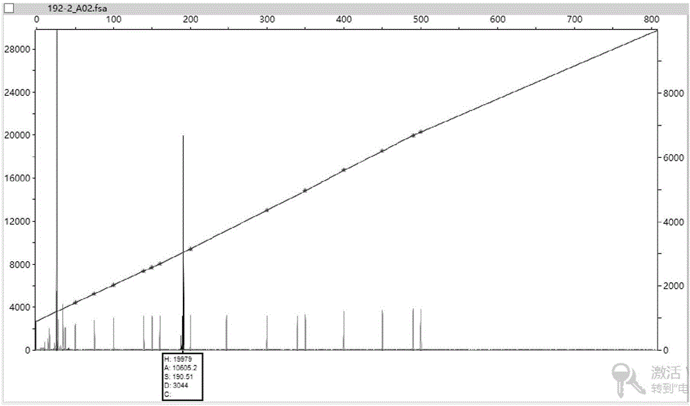 Detection kit for CAG trinucleotide duplication mutation of SCA (Spinocerebellar Ataxia) pathogenic genes