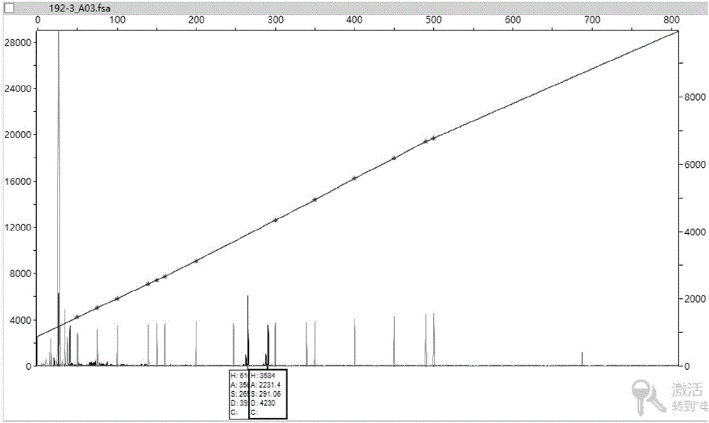 Detection kit for CAG trinucleotide duplication mutation of SCA (Spinocerebellar Ataxia) pathogenic genes