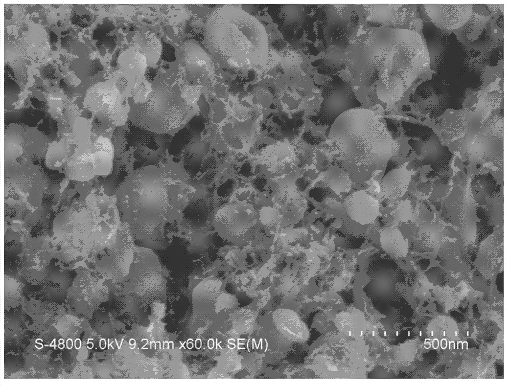 Anode material-nanometer vanadium iron manganese lithium phosphate of lithium ion battery and preparation method of anode material