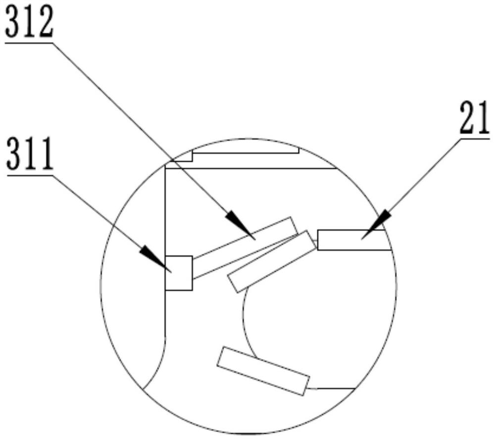 Ice coating device for food preservation