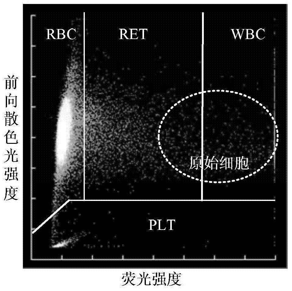 Blood cell analyzer, reticulocyte counting apparatus and count correcting method