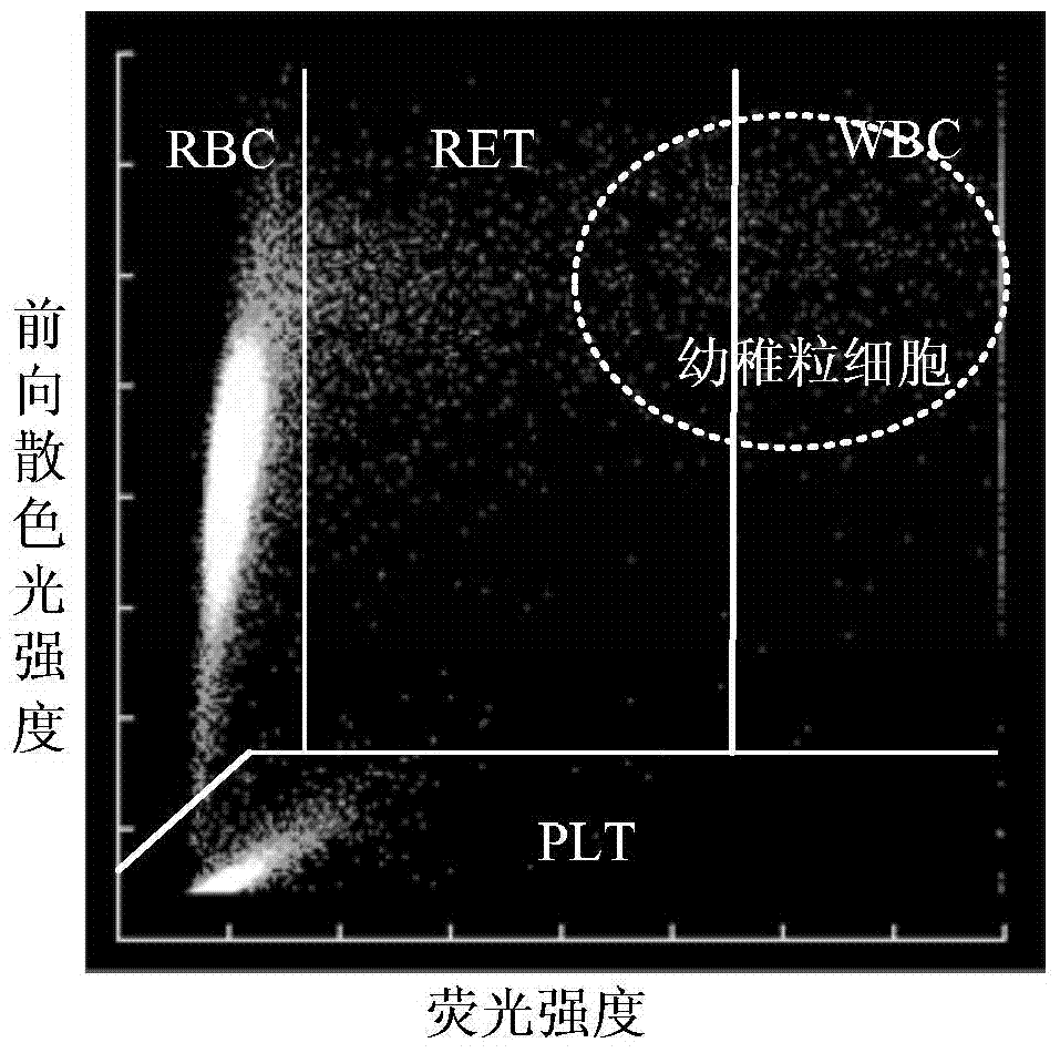 Blood cell analyzer, reticulocyte counting apparatus and count correcting method