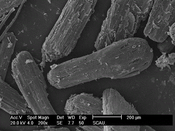 A kind of pesticide degrading bacteria preparation and its preparation method and application