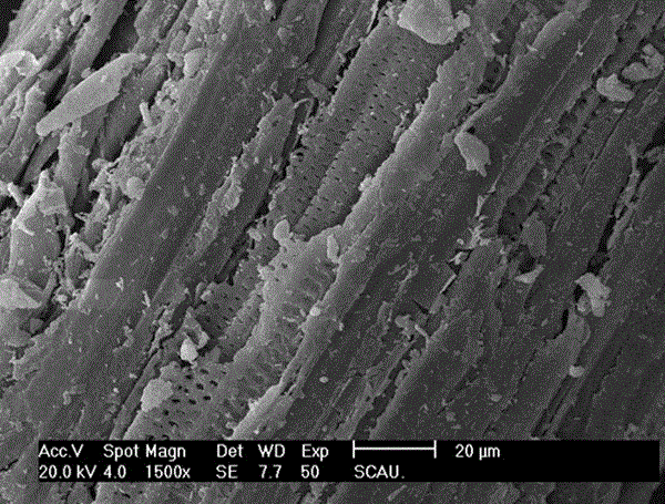 A kind of pesticide degrading bacteria preparation and its preparation method and application