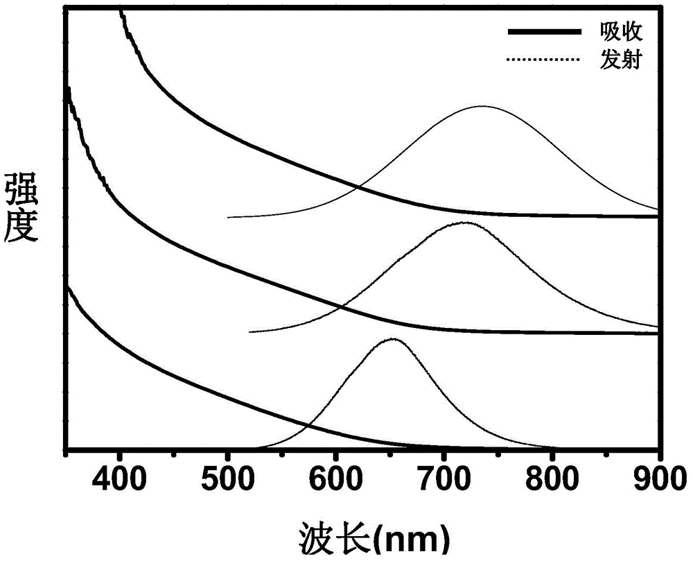 Fluorescent quantum dot for magnetic resonance imaging, and preparation method thereof