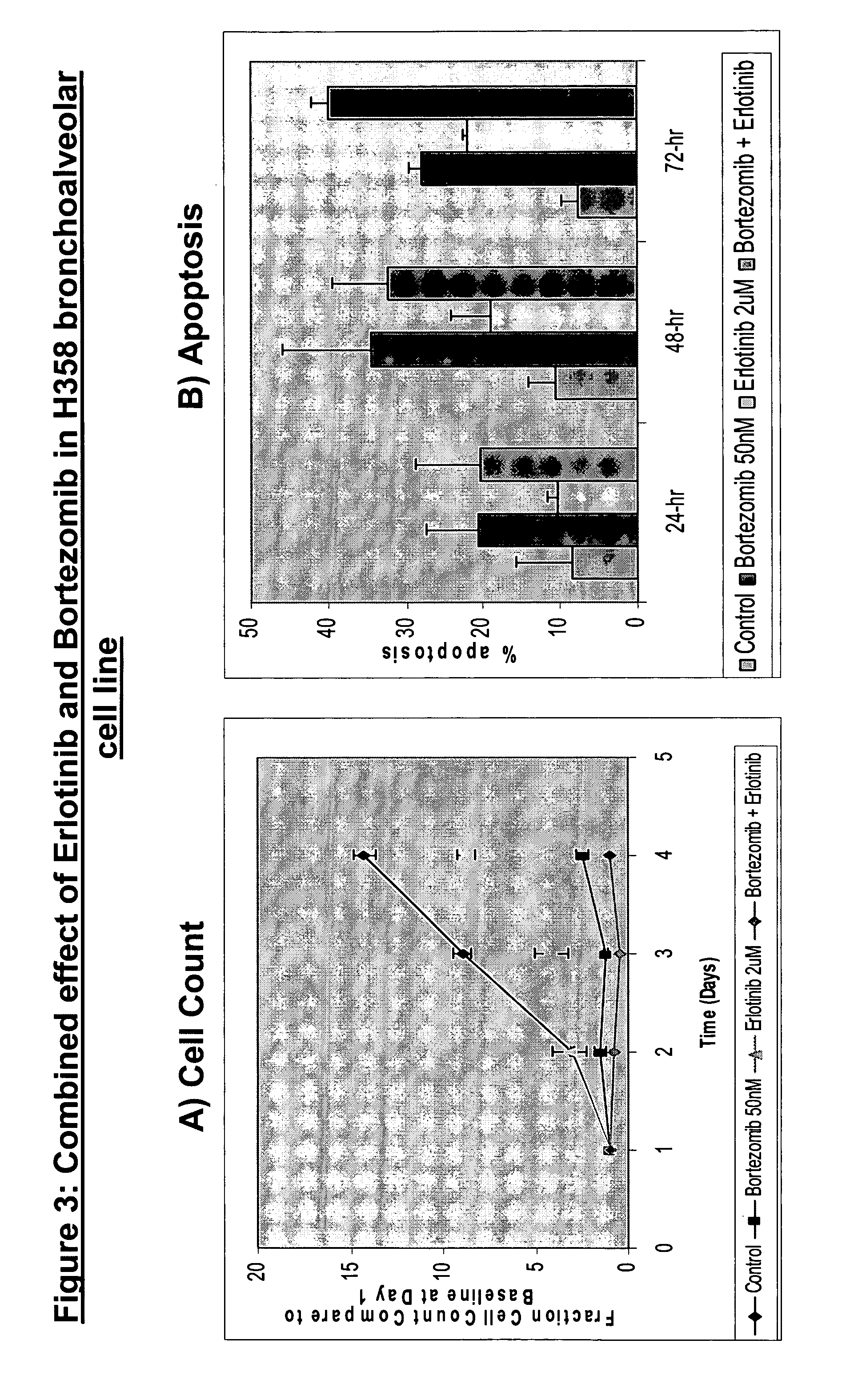Combined treatment with bortezomib and an epidermal growth factor receptor kinase inhibitor