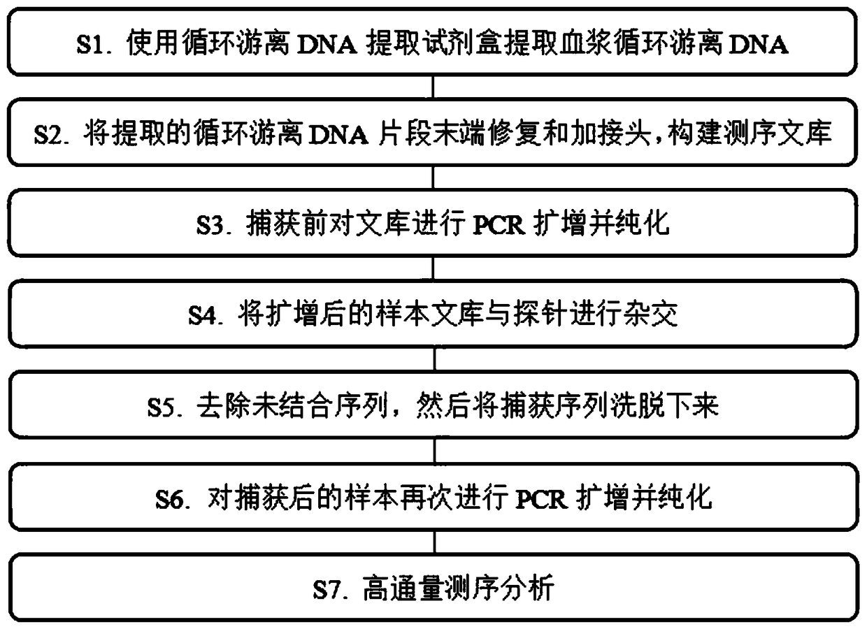 Probe combination for detecting circulating tumor DNA of human thyroid cancer and capturing and sequencing system thereof