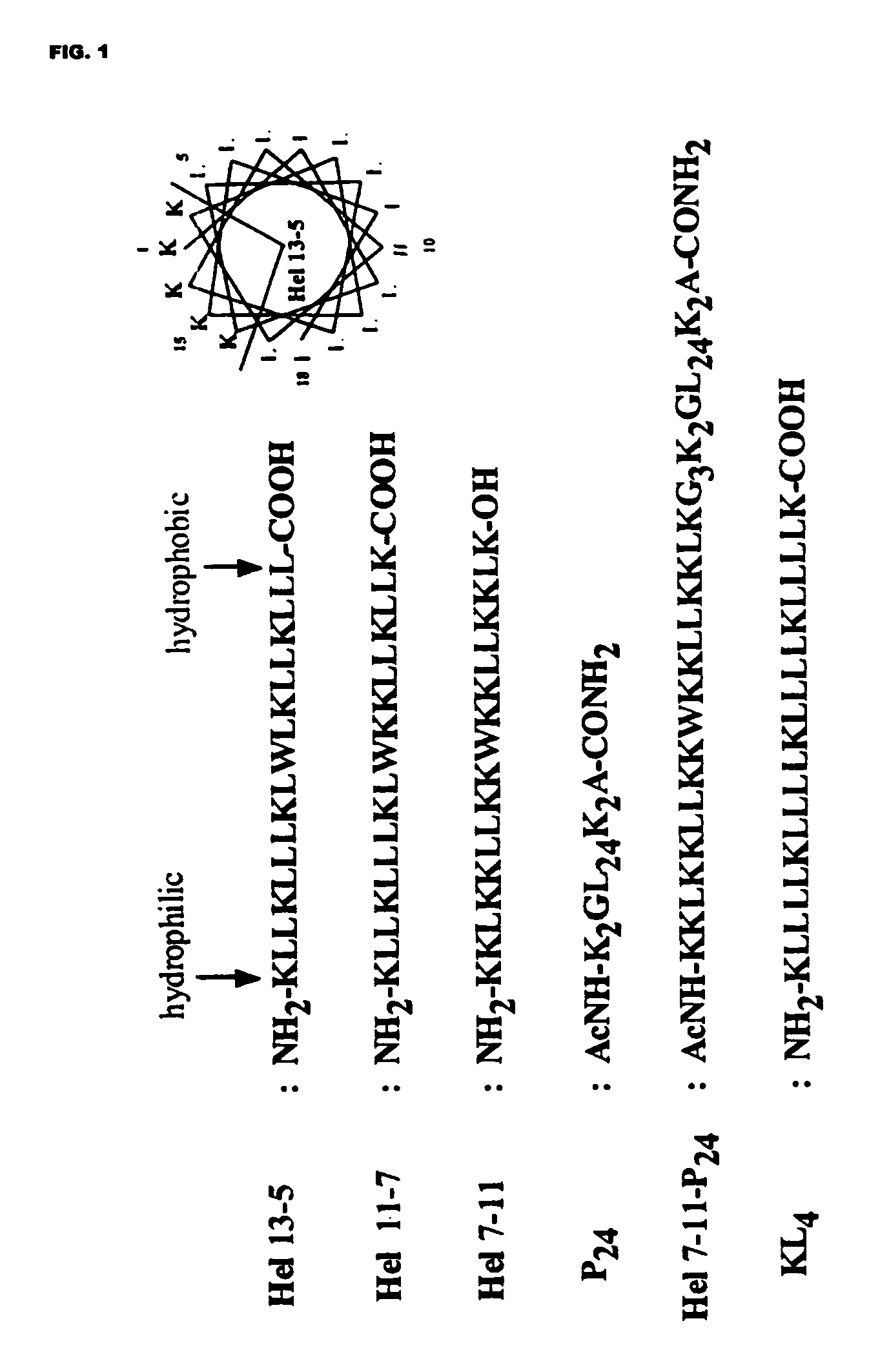 Artificial pulmonary surfactant compositions and use of the same