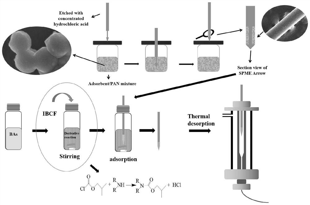 Solid-phase microextraction probe, preparation method and application of solid-phase microextraction probe in biogenic amine detection