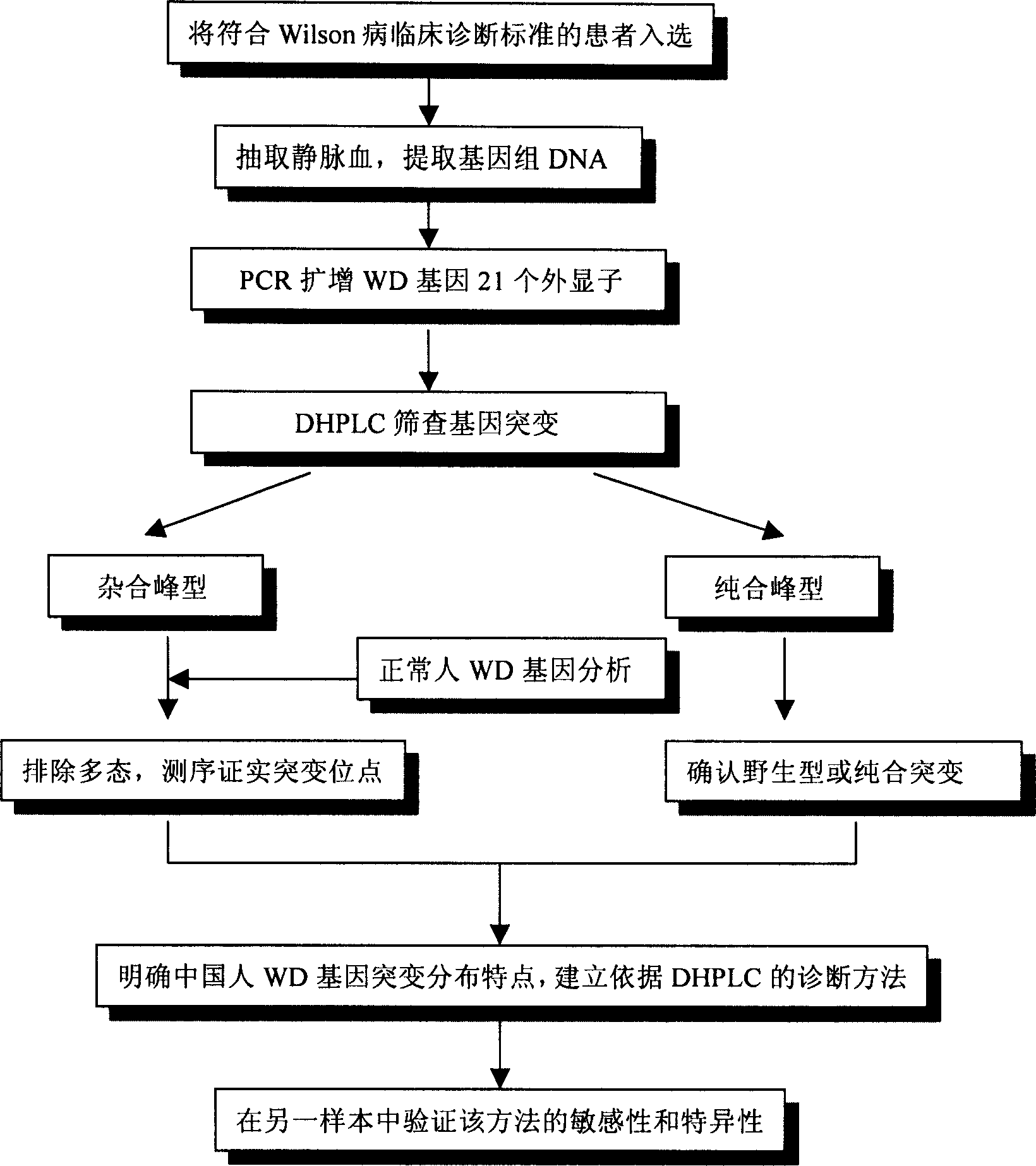 Gene mutation type and gene order surveying method