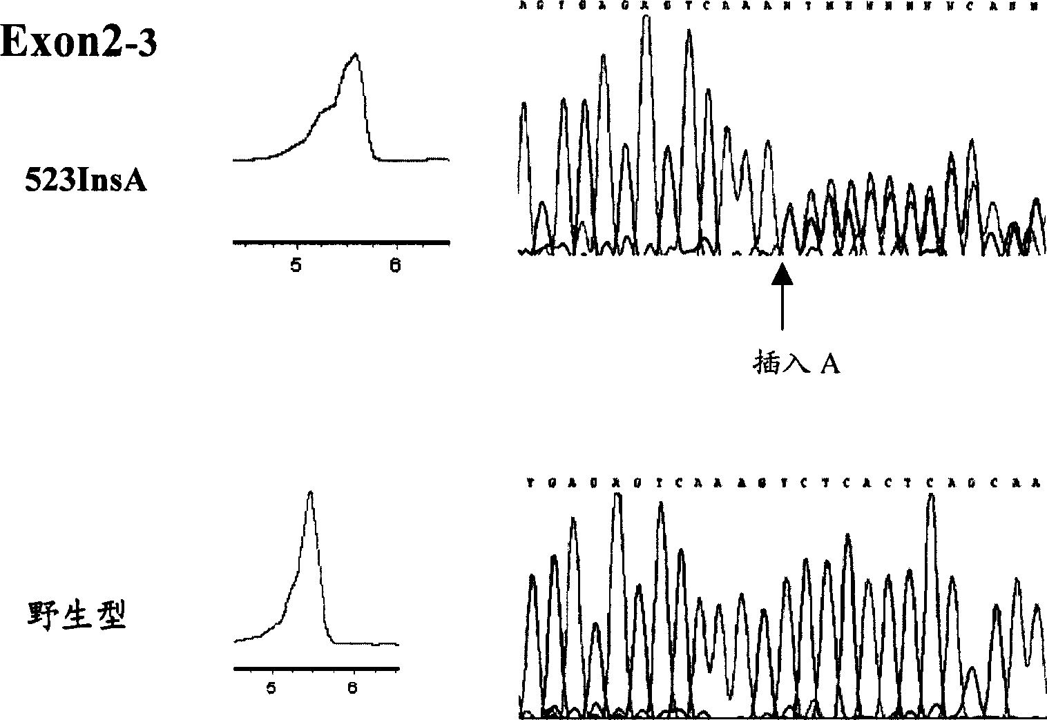 Gene mutation type and gene order surveying method