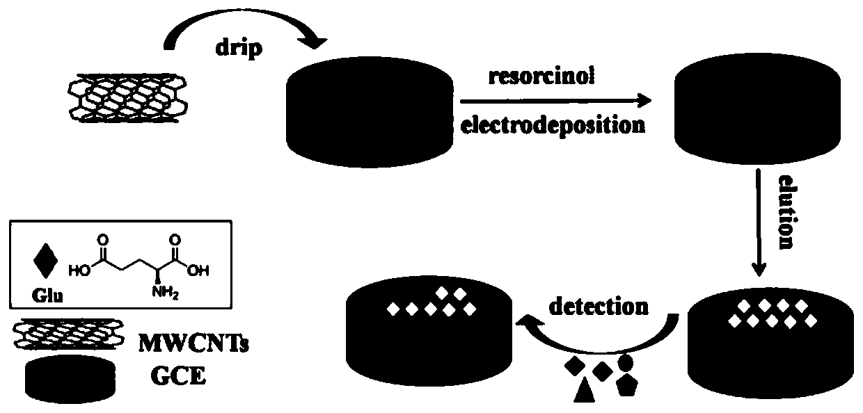 L-Glutamic acid (L-Glu) detection method and sensor based on molecularly imprinted polymer (MIP) membrane modified electrode