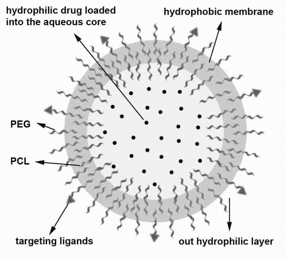 Oxymatrine hepatic targeting nano drug delivery system and preparation method thereof