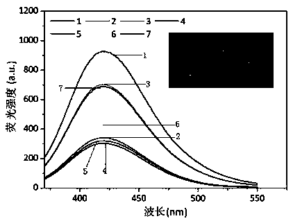 Carbon dot inner-filter effect of fluorescence-based Kanamycin detection method